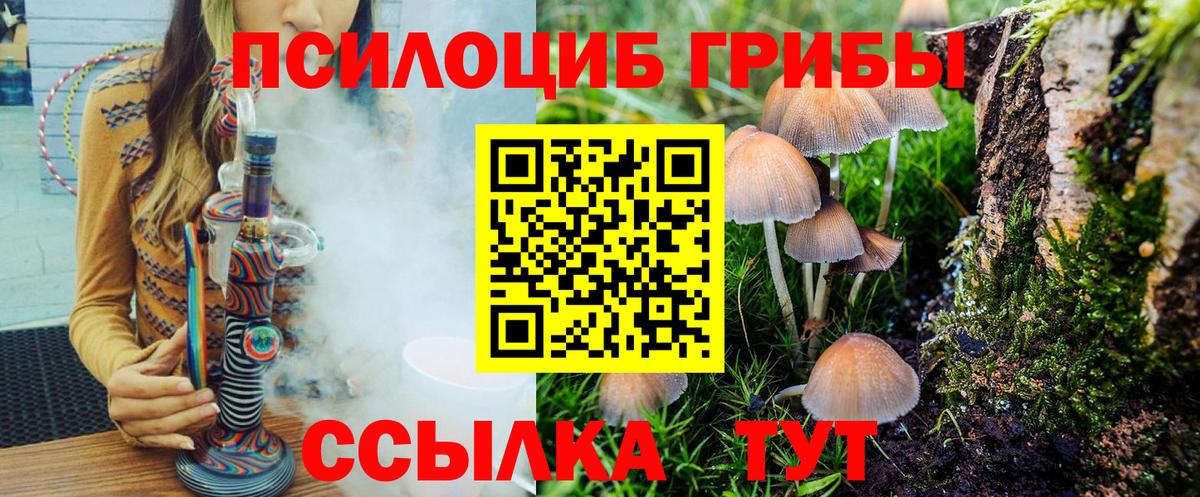 Ногинск  Псилоцибиновые грибы Cubensis  Вход с VPN 