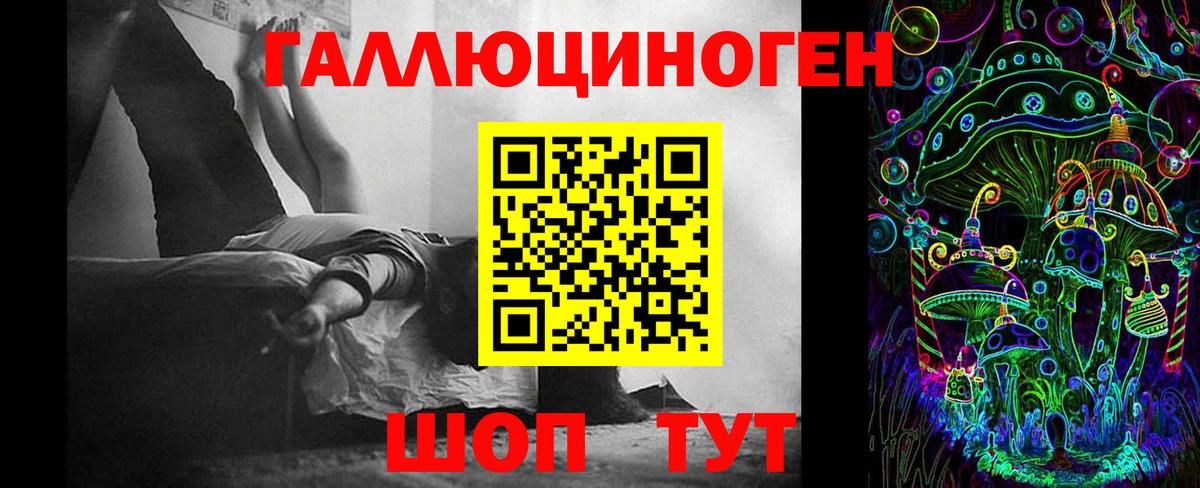 Псилоцибиновые грибы Psilocybe Ногинск